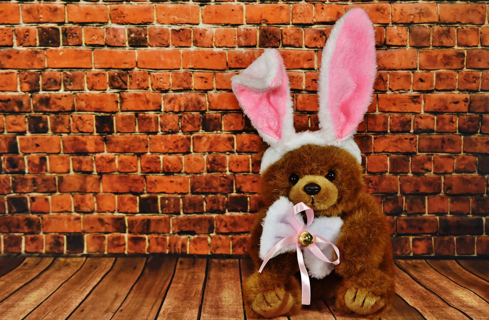 Nikon D7200 sample photo. Easter bunny, greeting card photography