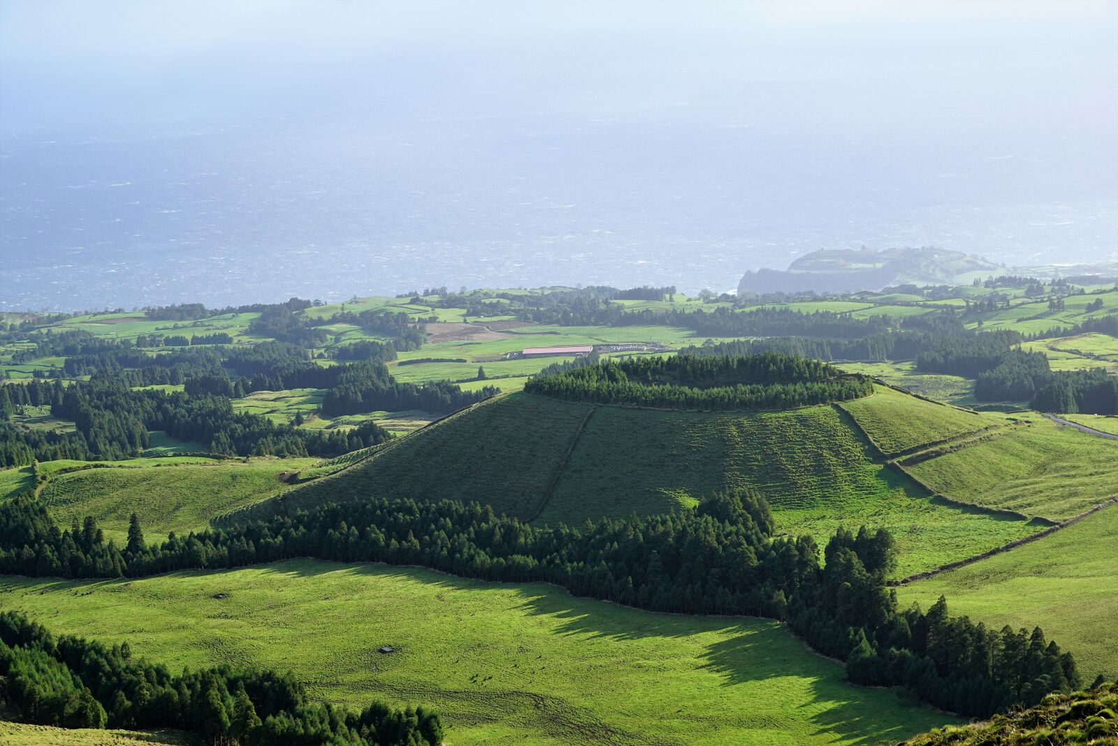 Sony ILCA-77M2 + Sony DT 16-50mm F2.8 SSM sample photo. Azores, portugal, nature photography