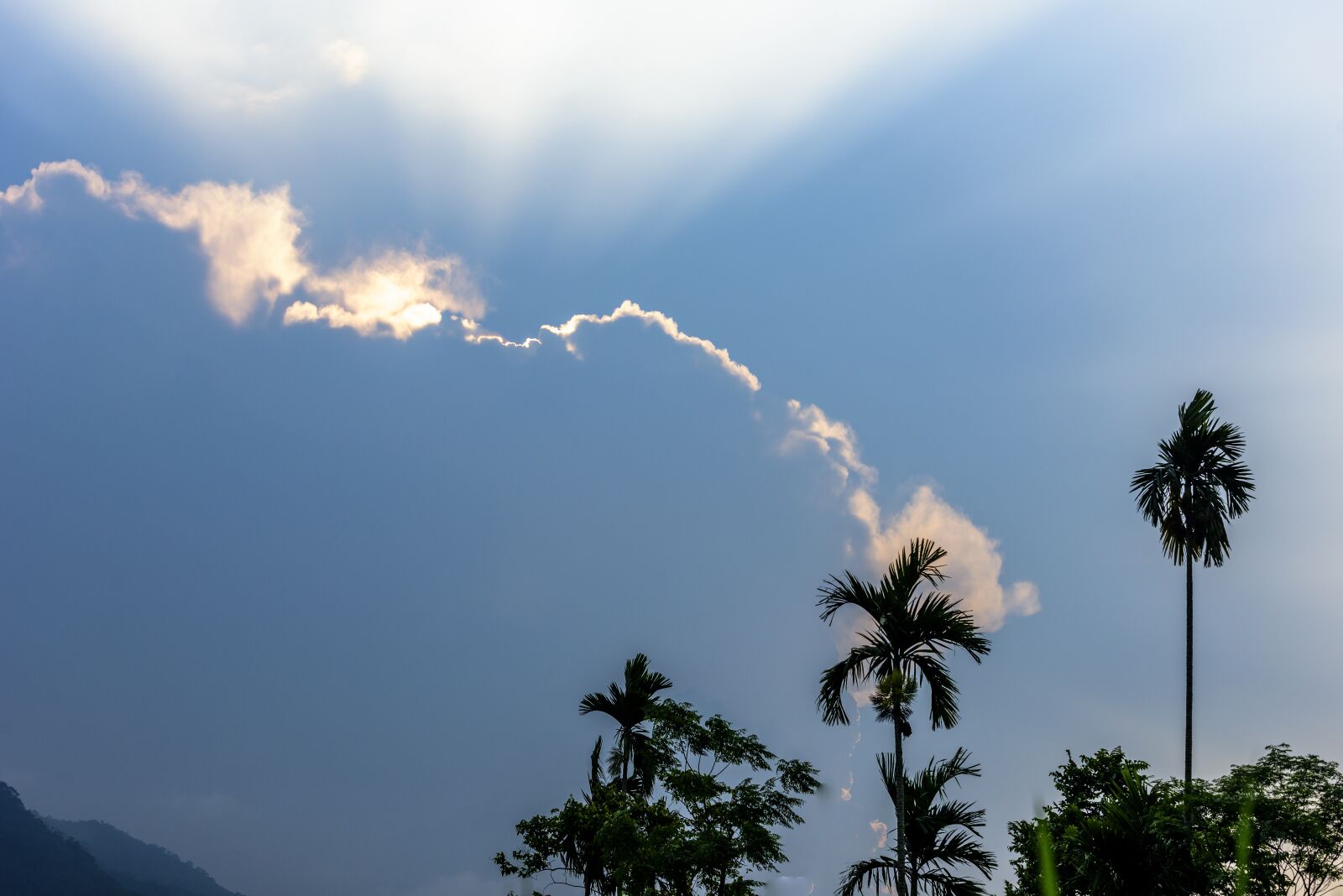 Nikon D810 sample photo. Pu luong nature reserve photography