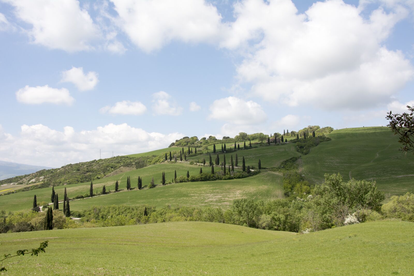 Nikon D7100 sample photo. Campaign, tuscany, italy photography