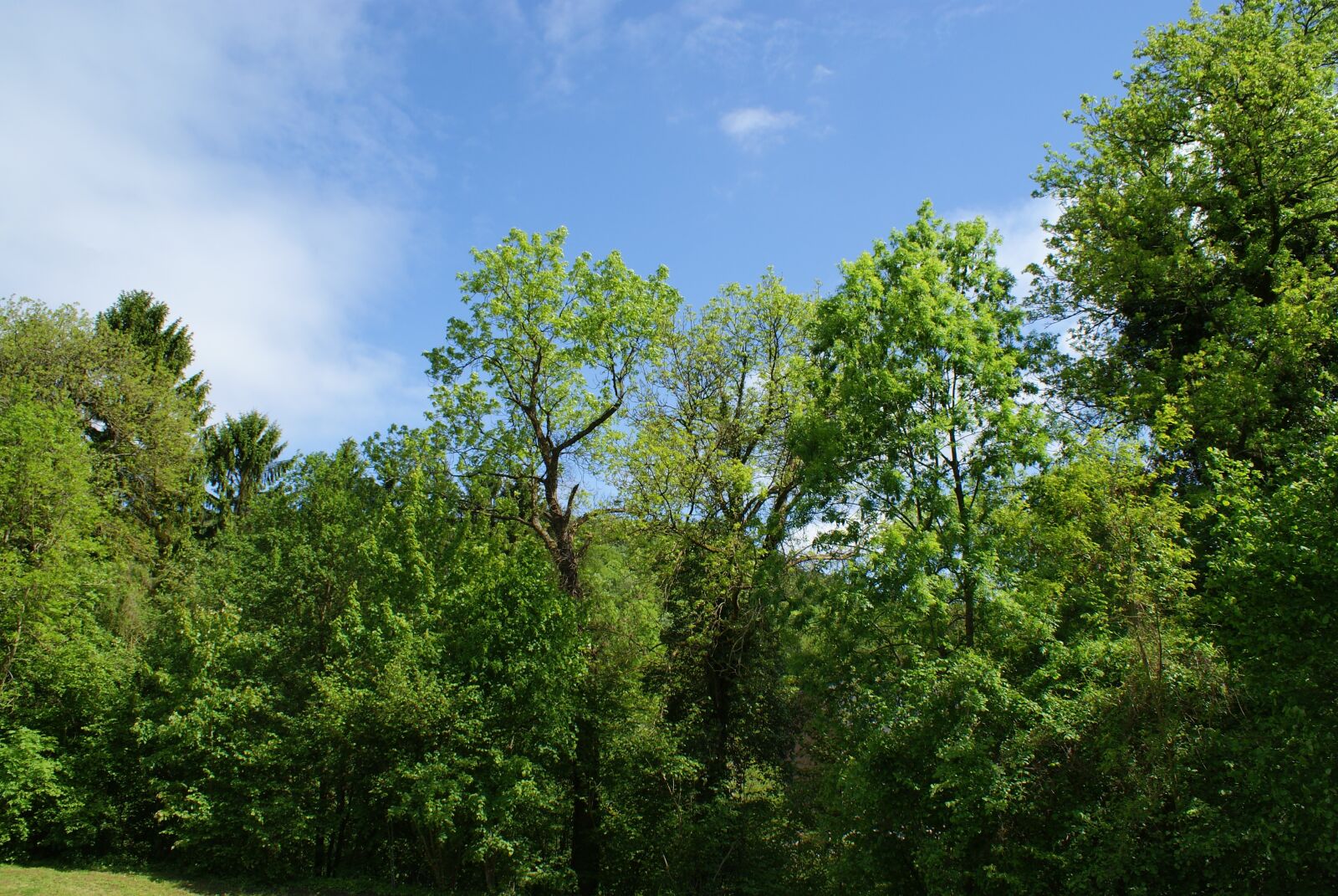Sony Alpha DSLR-A200 sample photo. Field, belgium, landscape photography