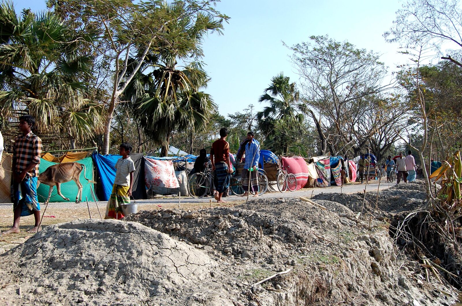 Nikon D40 sample photo. Cyclone, affected, village, barguna photography