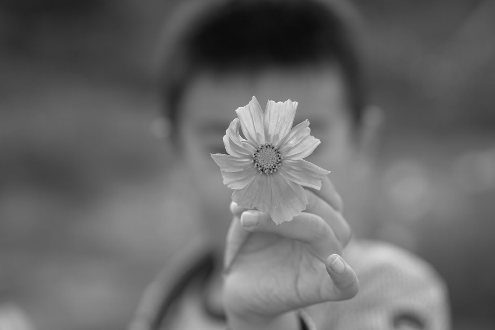 E 50mm F1.8 OSS sample photo. Flower, wild flowers, character photography