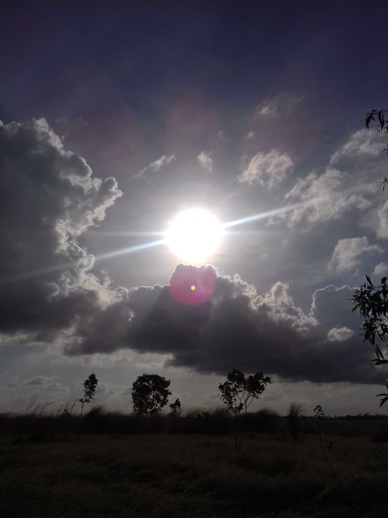 Samsung Galaxy Grand Prime sample photo. Sun, in, bangladesh photography