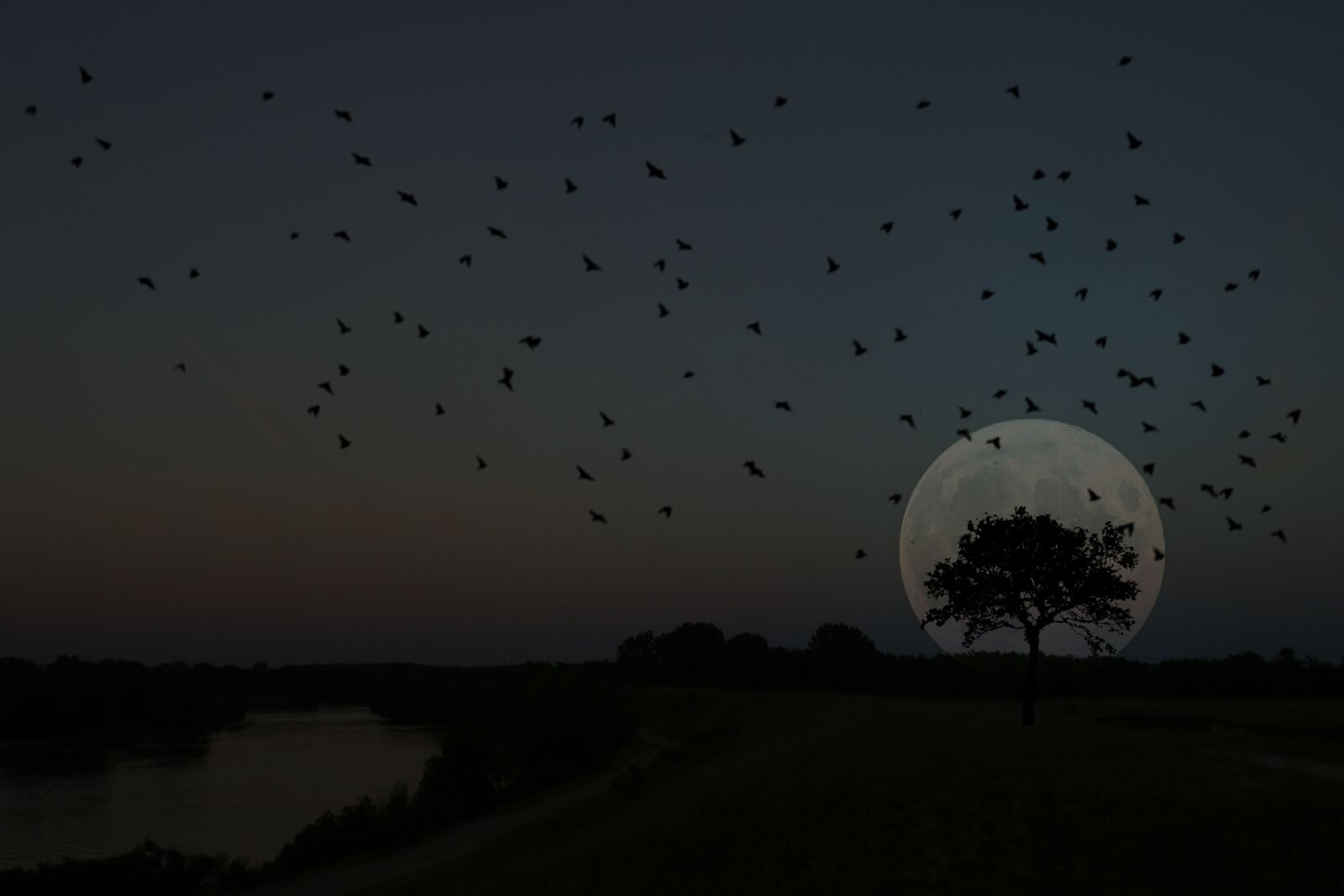 Canon EOS 7D Mark II sample photo. Luna, landscape, night photography