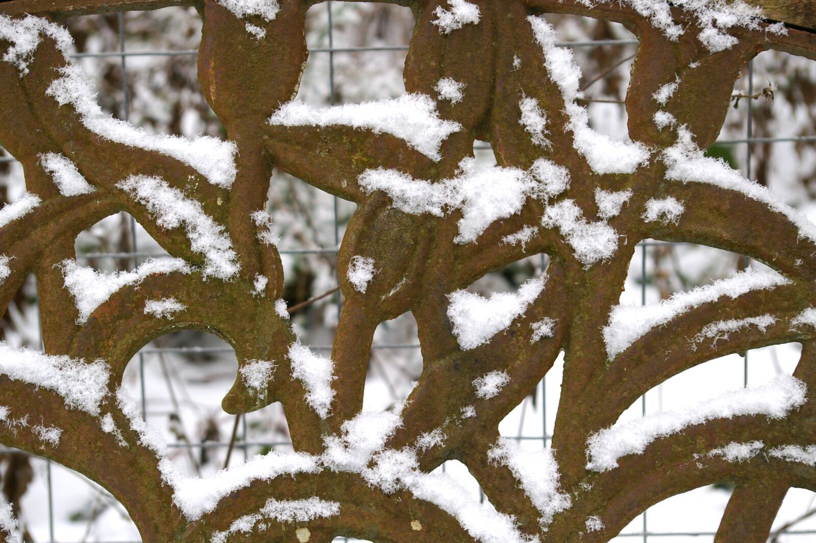 Pentax *ist DL2 sample photo. Winter, snow, wintry photography