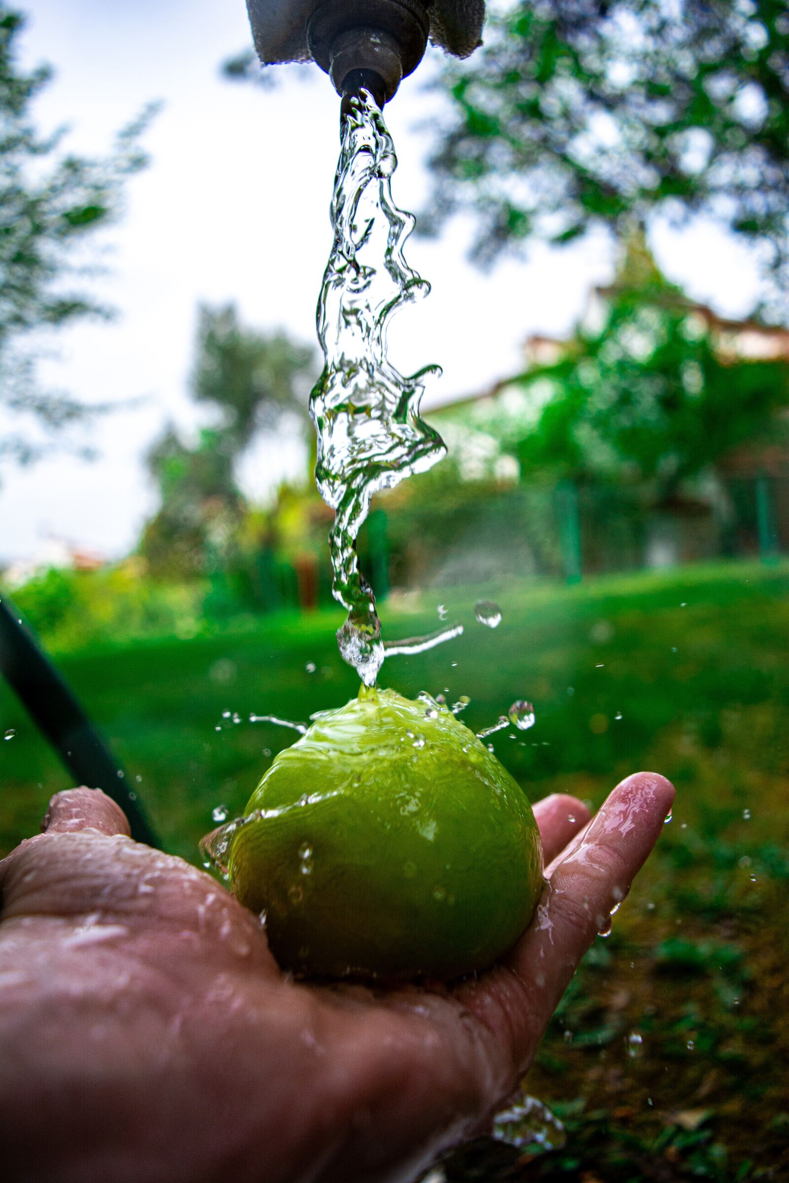 Nikon D5200 sample photo. Apple, green, park photography
