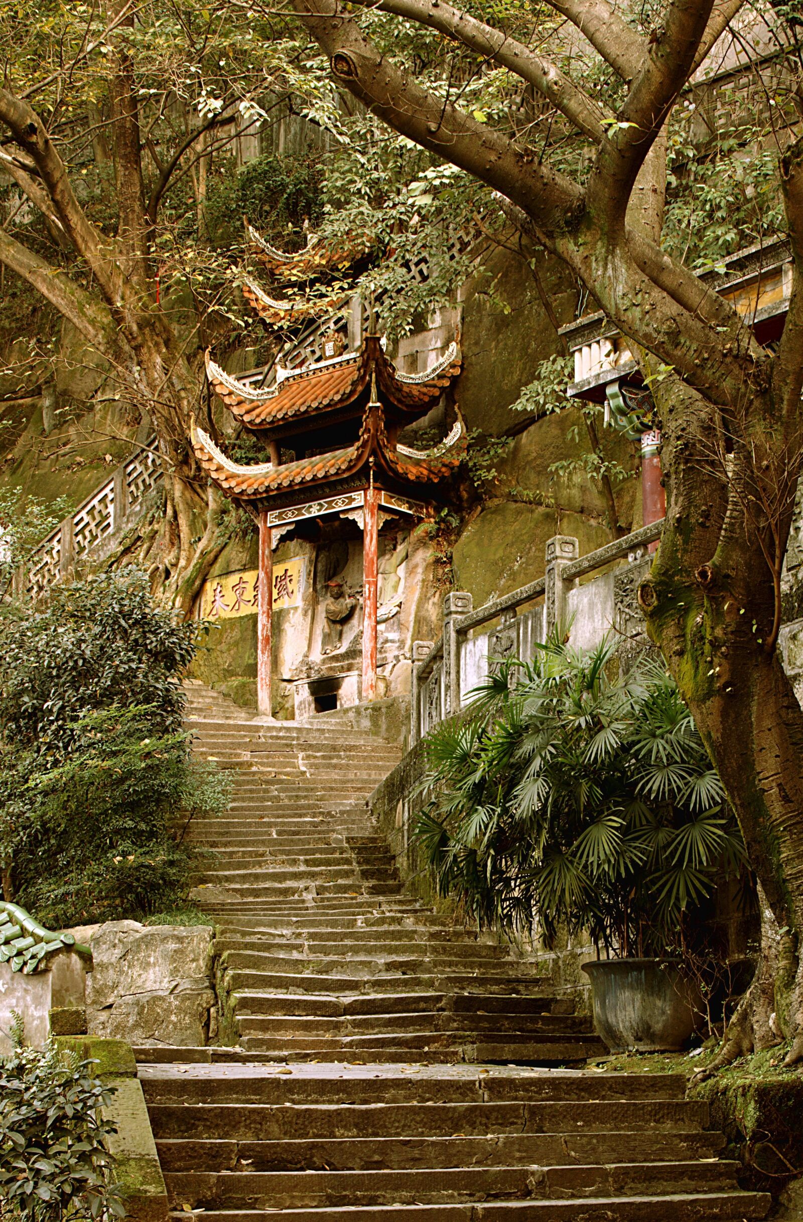 Nikon D5100 sample photo. Lama, temple, religion photography