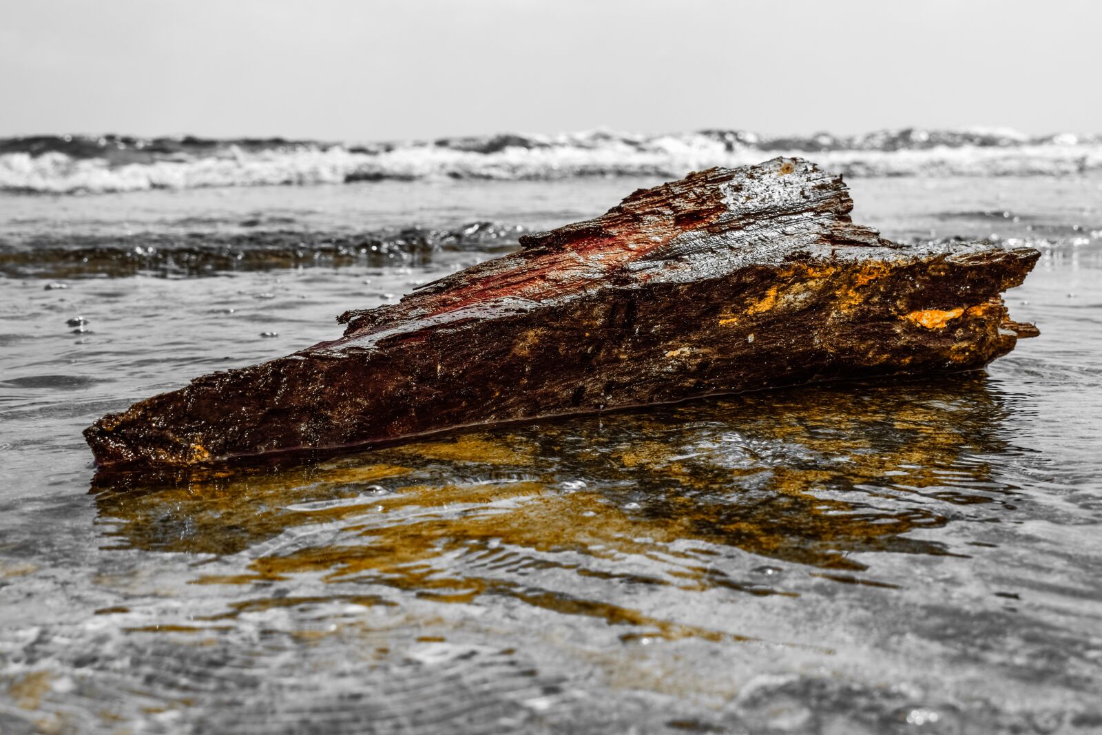 Nikon D3300 sample photo. Wood, sea, beach photography
