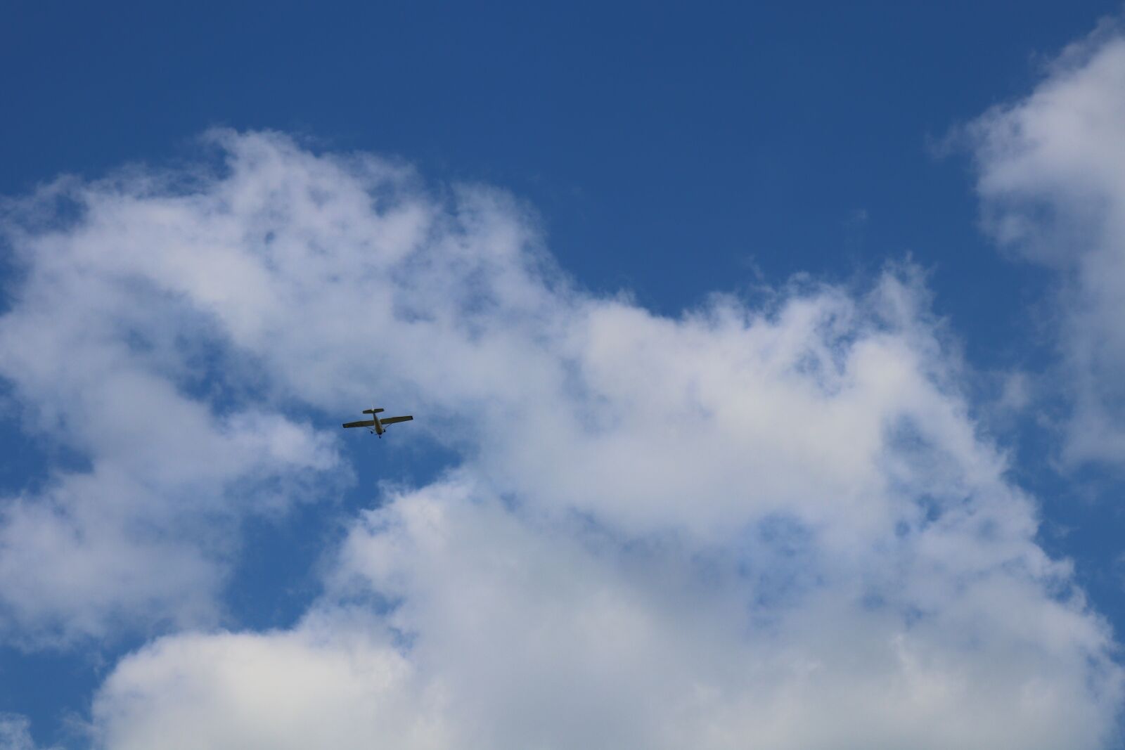 Canon EOS 200D (EOS Rebel SL2 / EOS Kiss X9) sample photo. Blue, sky, glider photography