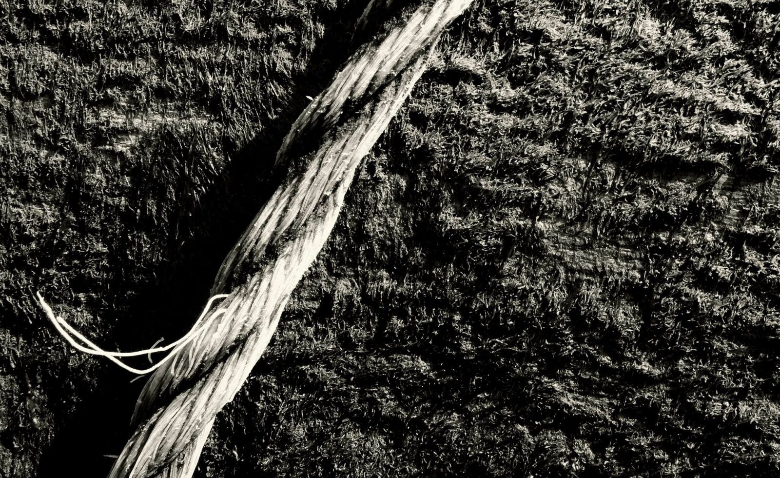 Fujifilm X-T1 sample photo. Rope, black and white photography