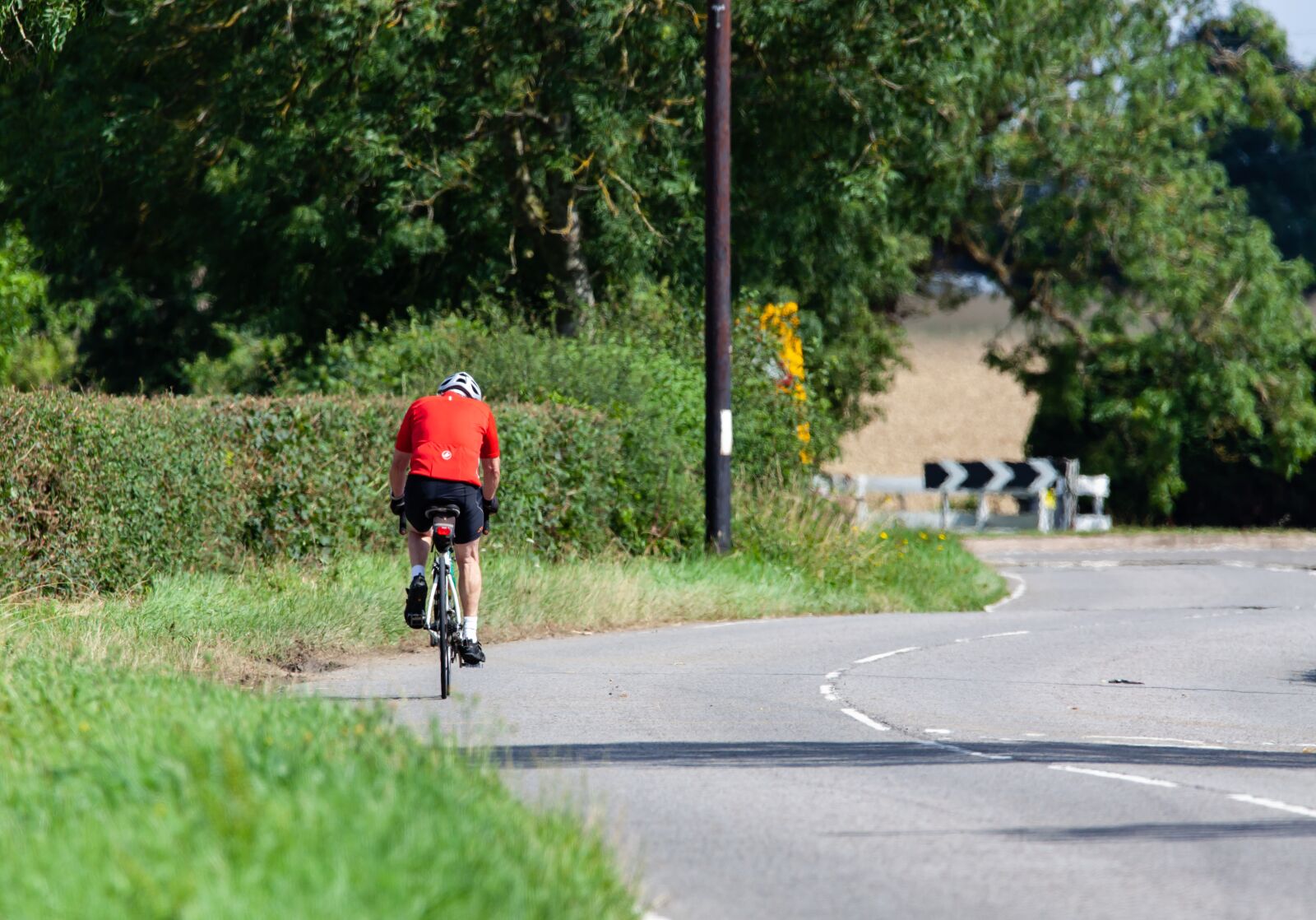 150-600mm F5-6.3 DG OS HSM | Contemporary 015 sample photo. Bicycle, man riding on photography
