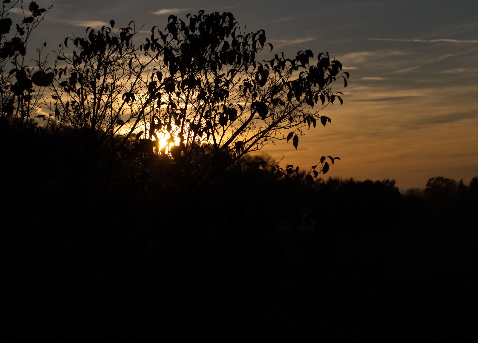 Nikon D5500 sample photo. Landscape, sun, nature photography