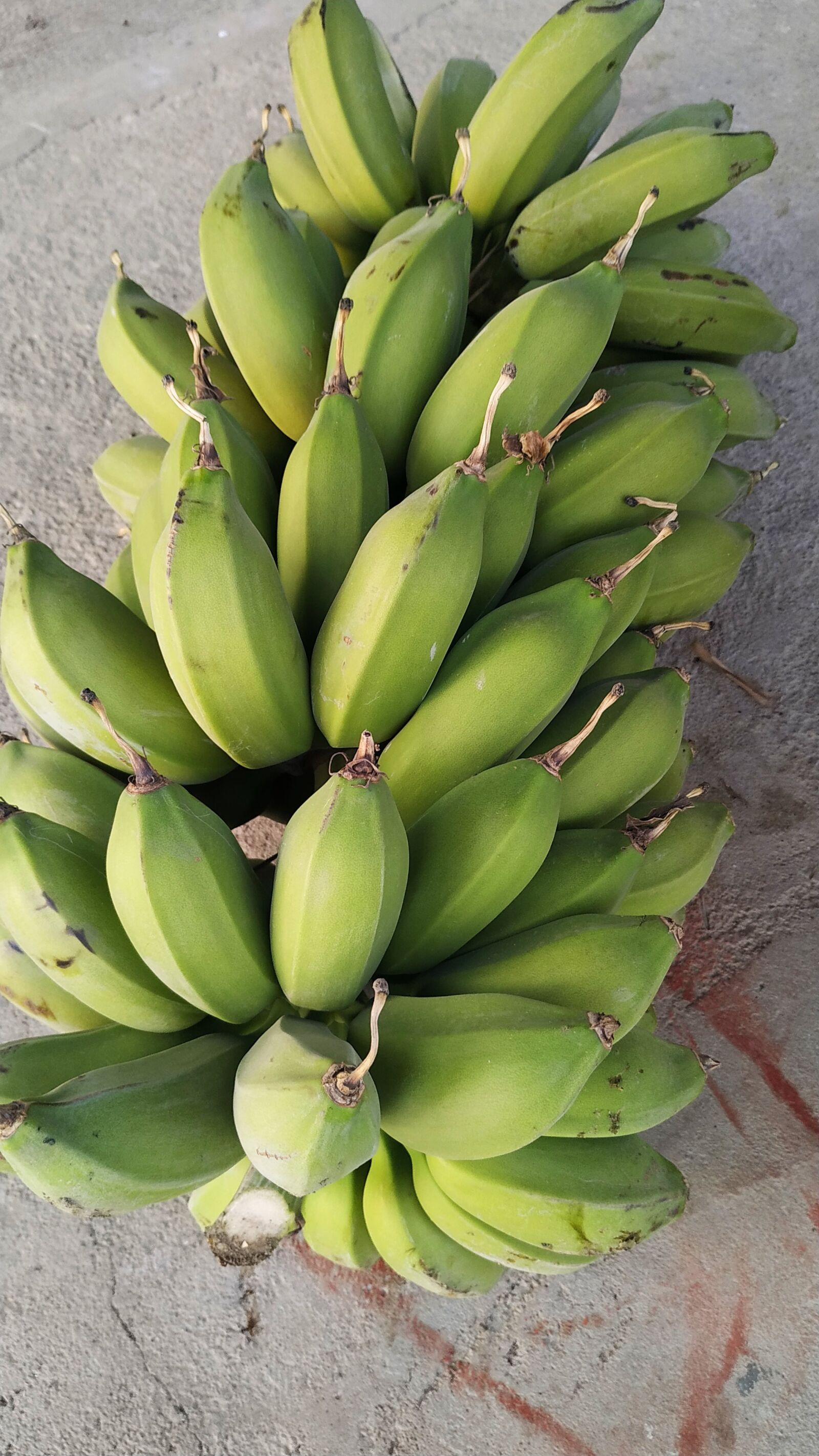 Xiaomi Redmi Note 6 Pro sample photo. Organic vegetable, fruits, organic photography