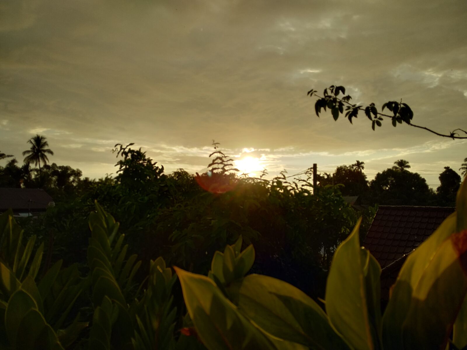 Xiaomi Redmi S2 sample photo. Dusk, nature, landscape photography