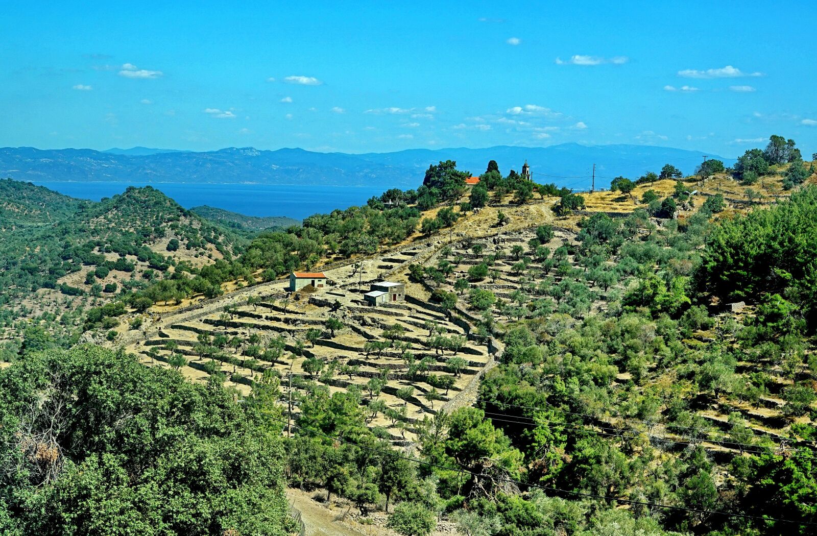 Sony a7 II + Sony FE 50mm F1.8 sample photo. Terrace cultivation, terrace, greece photography