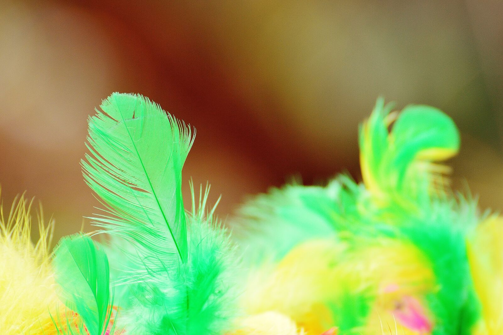 Nikon D3200 sample photo. Foam balls, feather, colorful photography