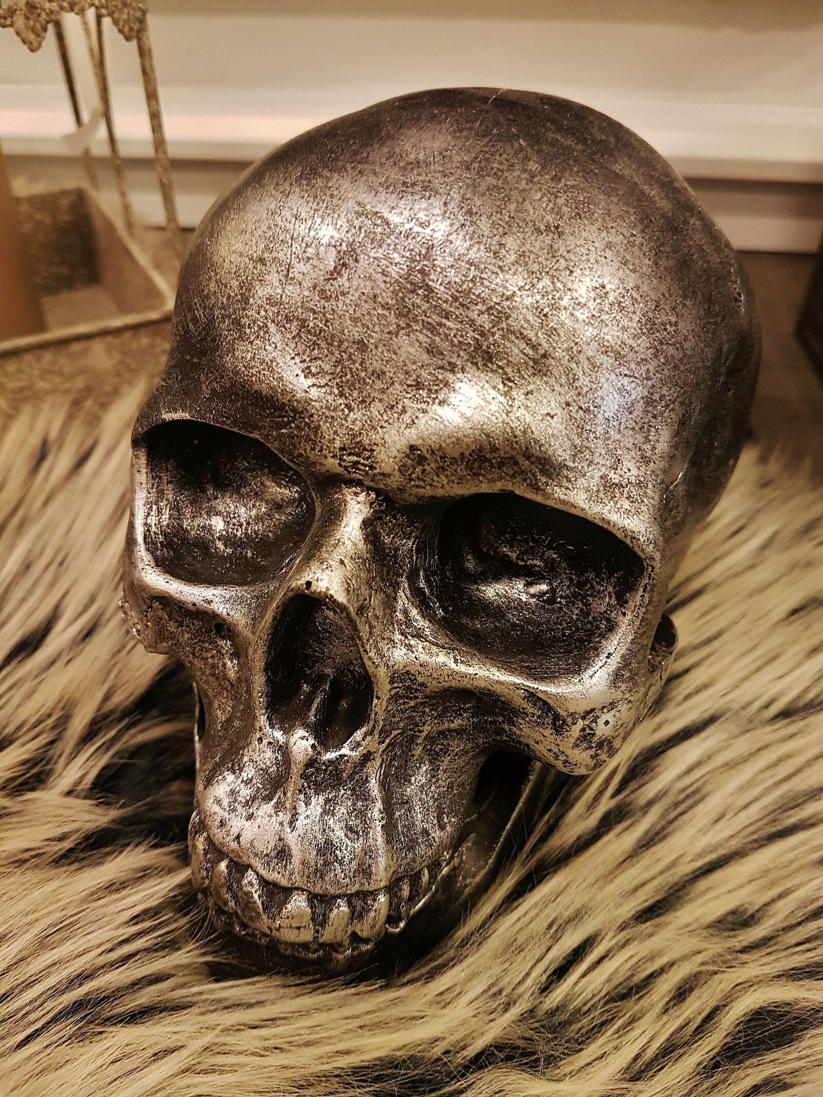 Samsung Galaxy S7 Edge sample photo. Skull, frame, face photography