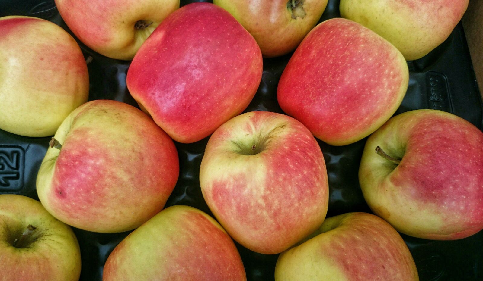 Sony Xperia Z1 Compact sample photo. Fruit, ripe apples, eco-friendly photography