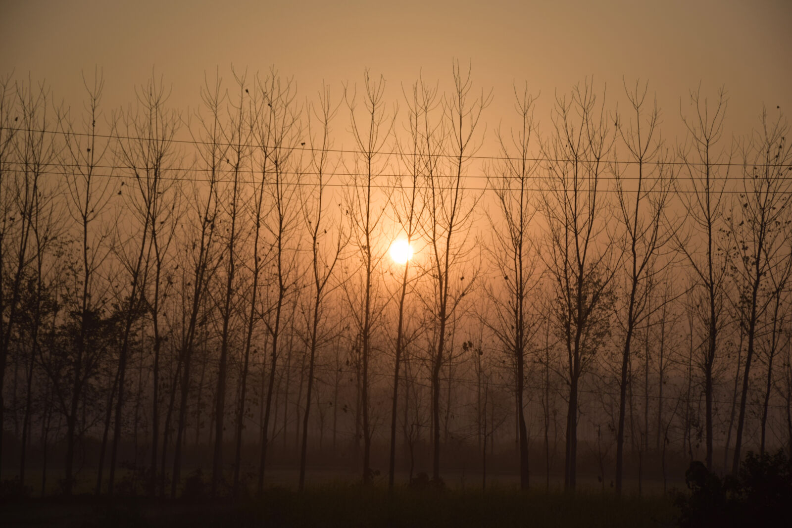 Nikon D5300 sample photo
