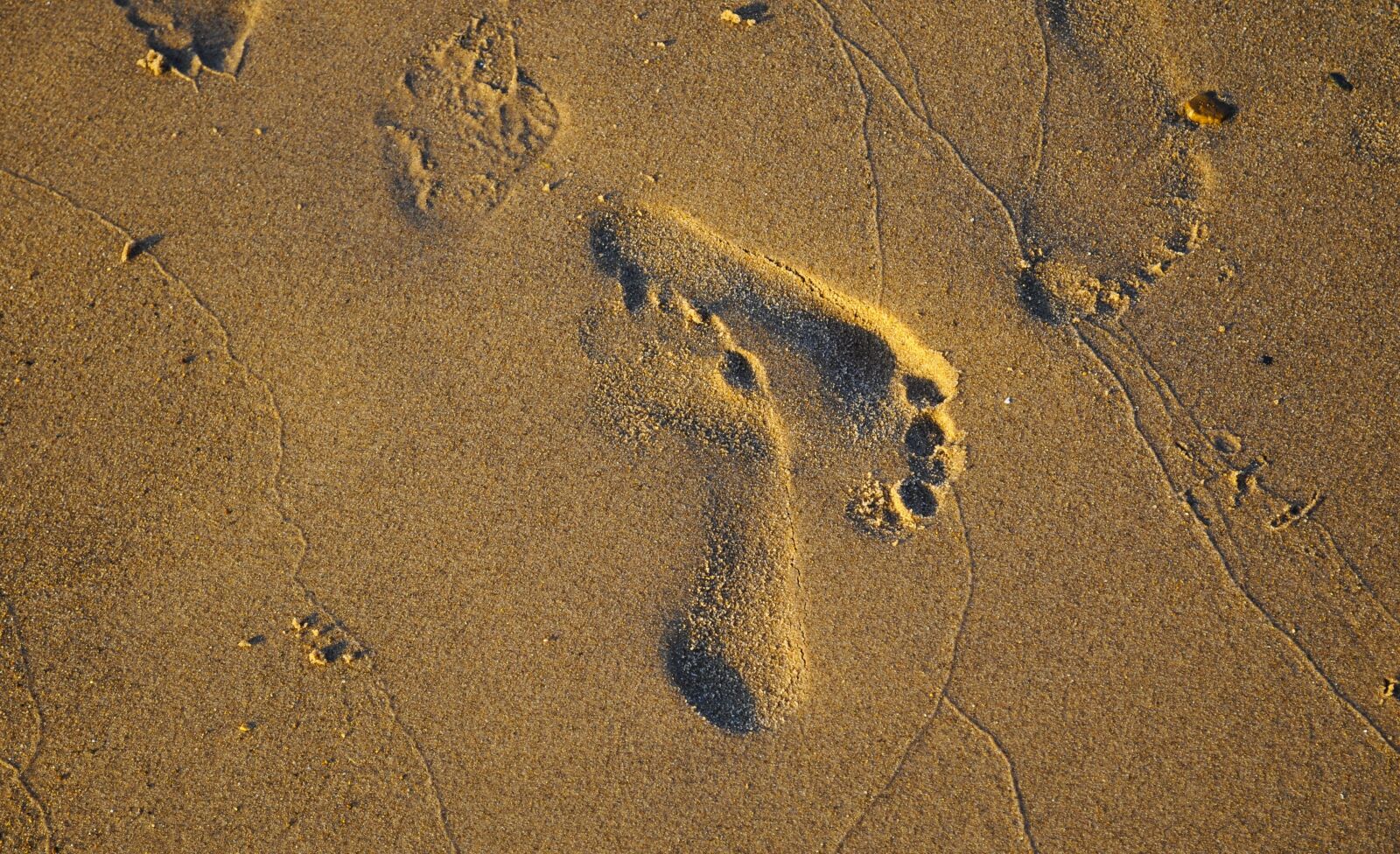 Nikon D90 sample photo. Sand, footprints, beach photography