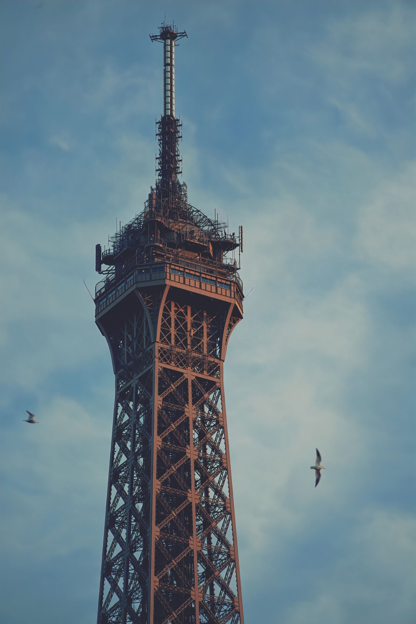 Sony a7 II + Sony FE 24-240mm F3.5-6.3 OSS sample photo. Eiffel tower, great, birds photography