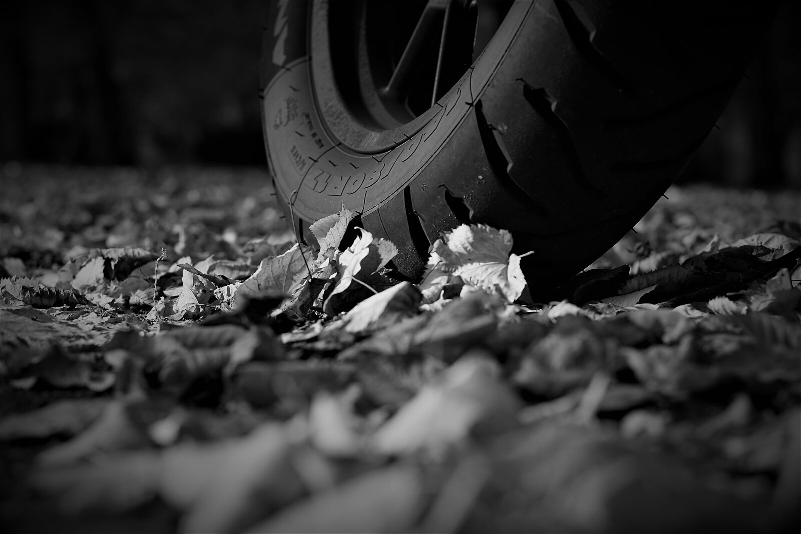 Nikon 1 J5 sample photo. Engine, bmw, f700gs photography