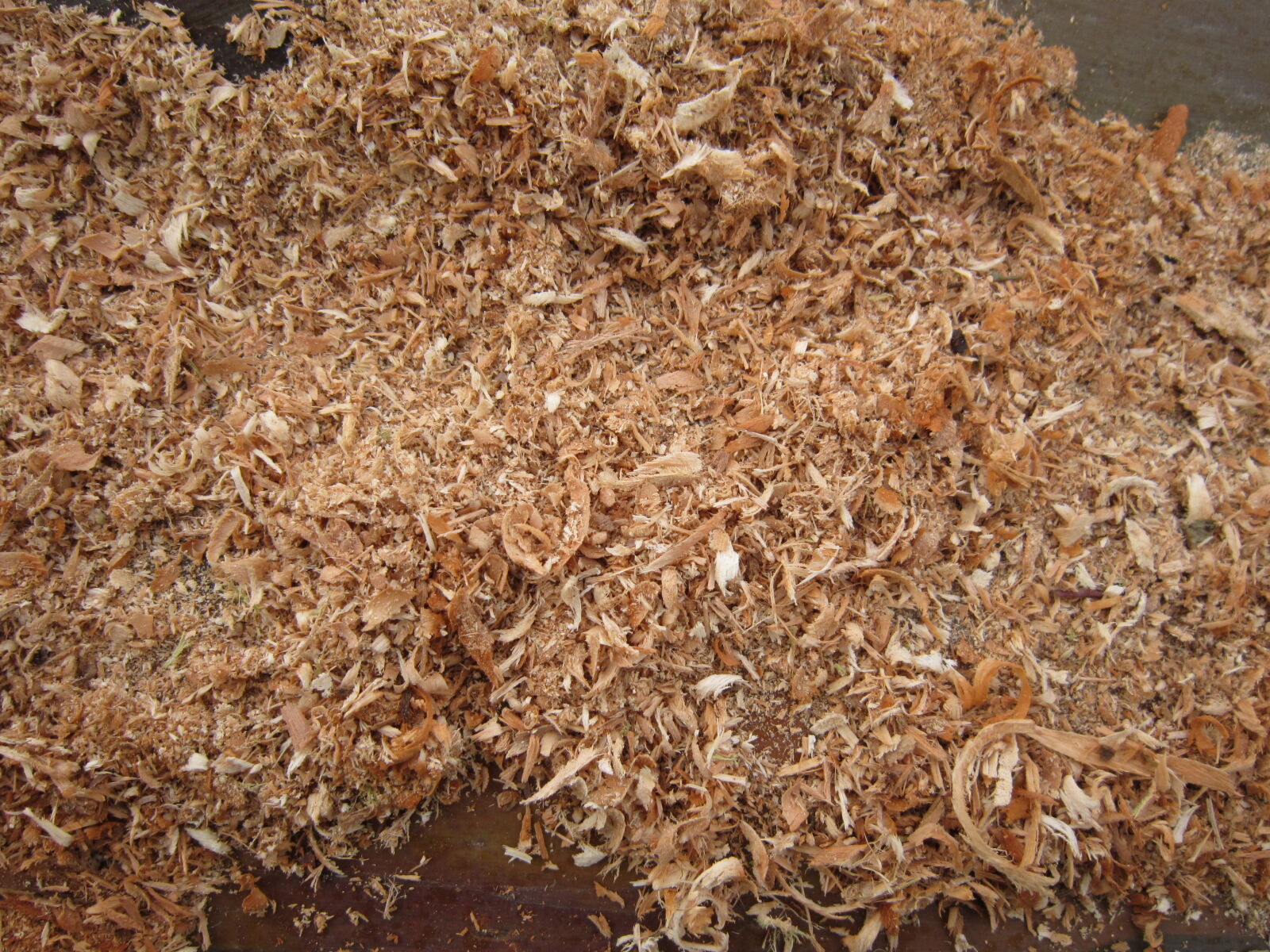 Canon PowerShot A3200 IS sample photo. Sawdust, wood photography