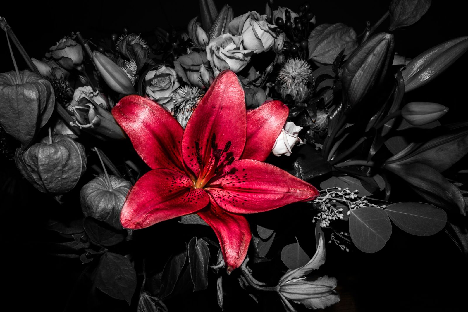 Nikon D610 sample photo. Red, isolated, shadow photography