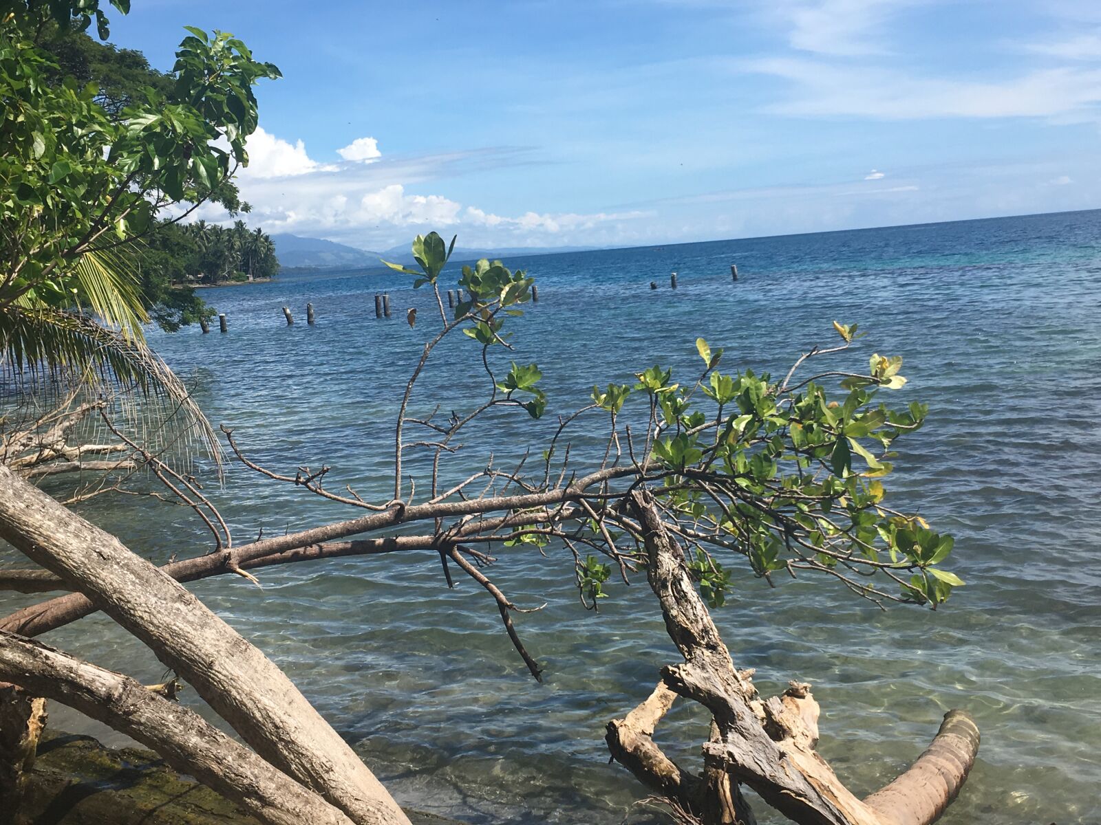 iPhone 6s back camera 4.15mm f/2.2 sample photo. Madang, rural, png, sea photography