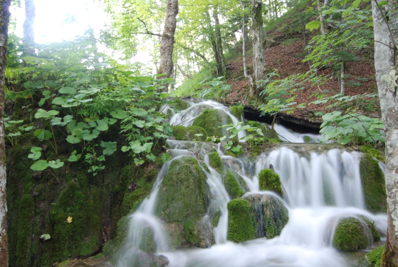 Nikon D80 sample photo. Falls, brook, water photography
