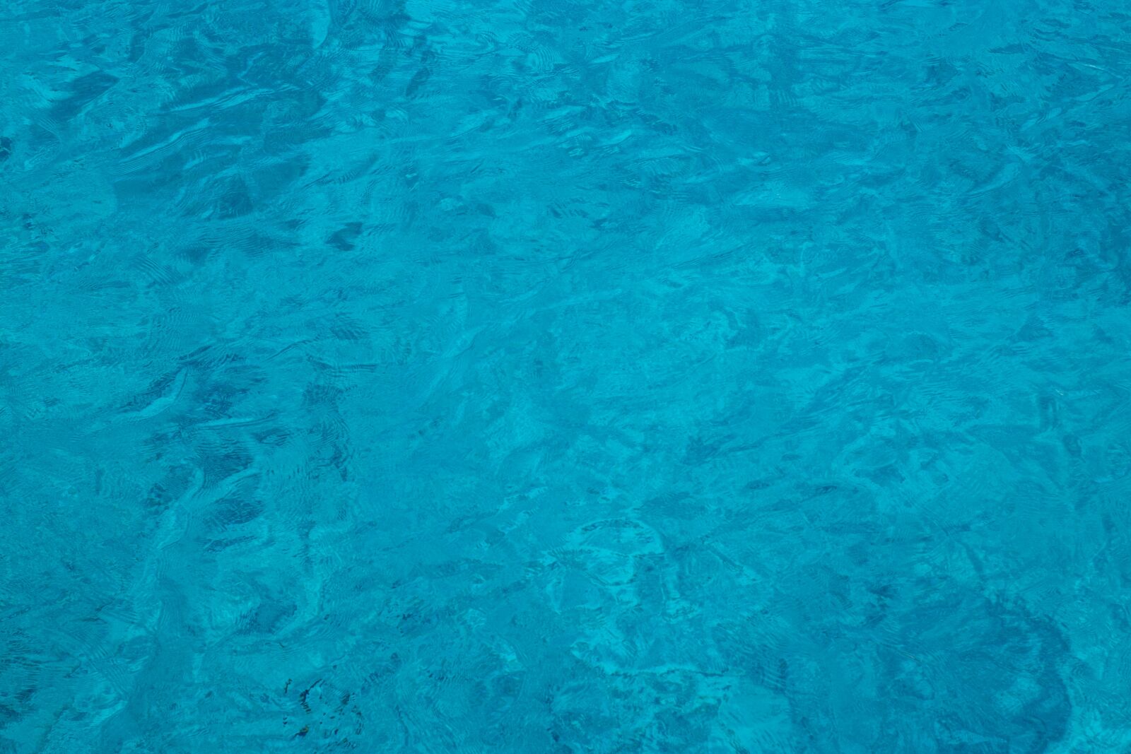 Canon EOS 800D (EOS Rebel T7i / EOS Kiss X9i) sample photo. Caribbean, cozumel, water photography
