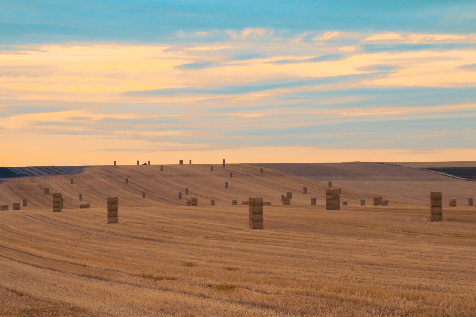 Canon EOS 70D sample photo. Harvest, straw, fields photography