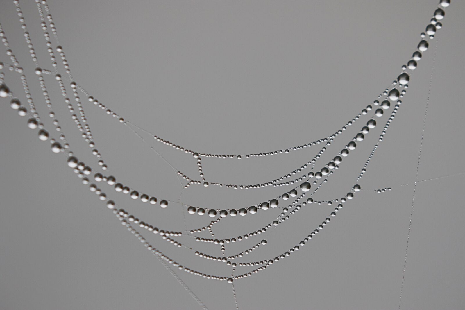 Canon EOS 7D Mark II sample photo. Water, pearls, drops photography