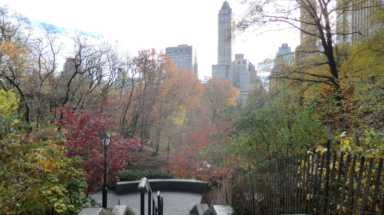 CASIO EX-H5 sample photo. Central, park photography