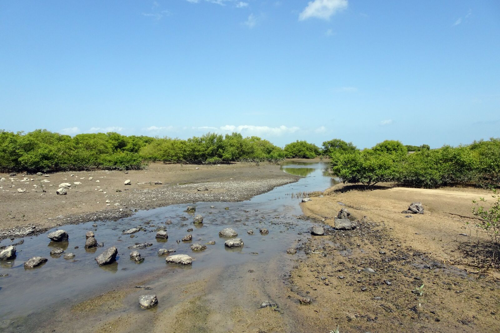 Sony Cyber-shot DSC-HX90V sample photo. Mangroves, creek, vegetation photography