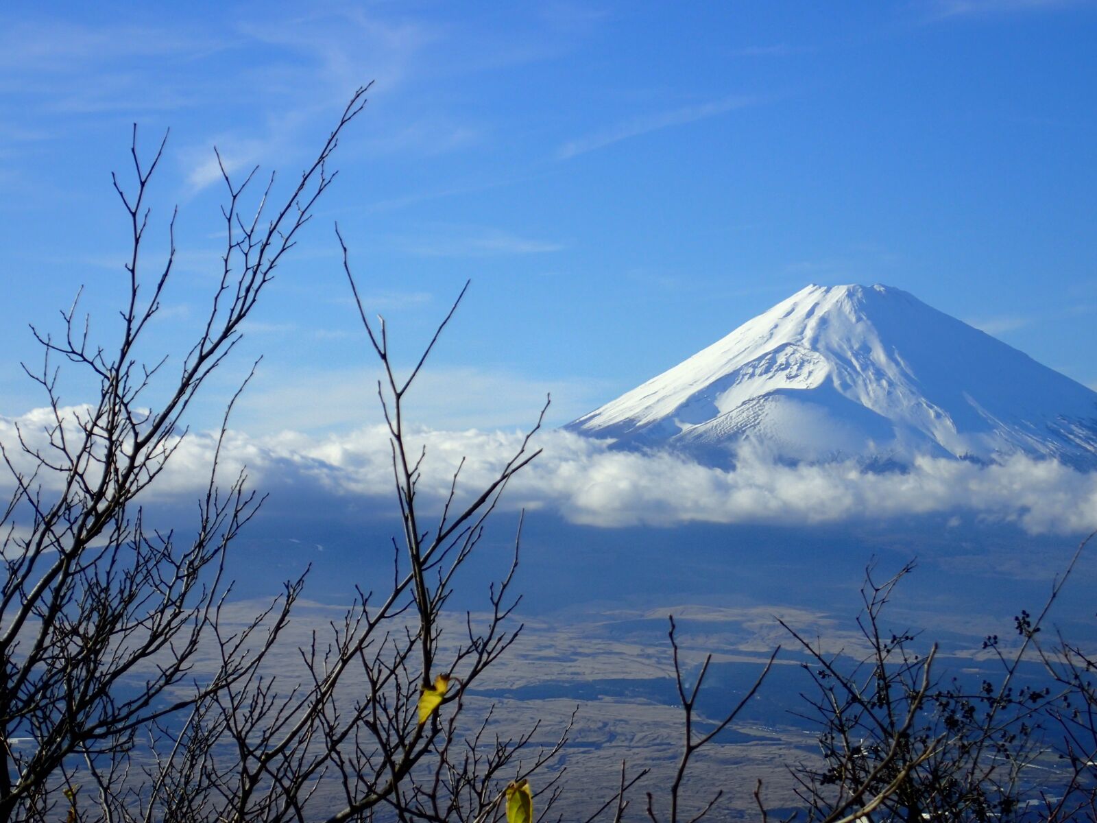Olympus TG-3 sample photo. Mt fuji, hakone, clear photography