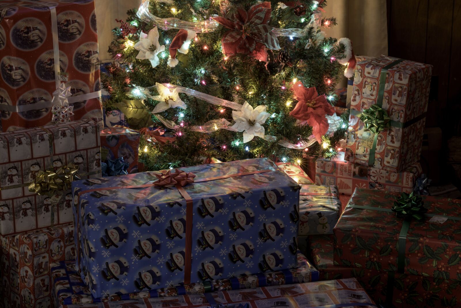 Nikon D810 sample photo. Christmas, tree, presents photography
