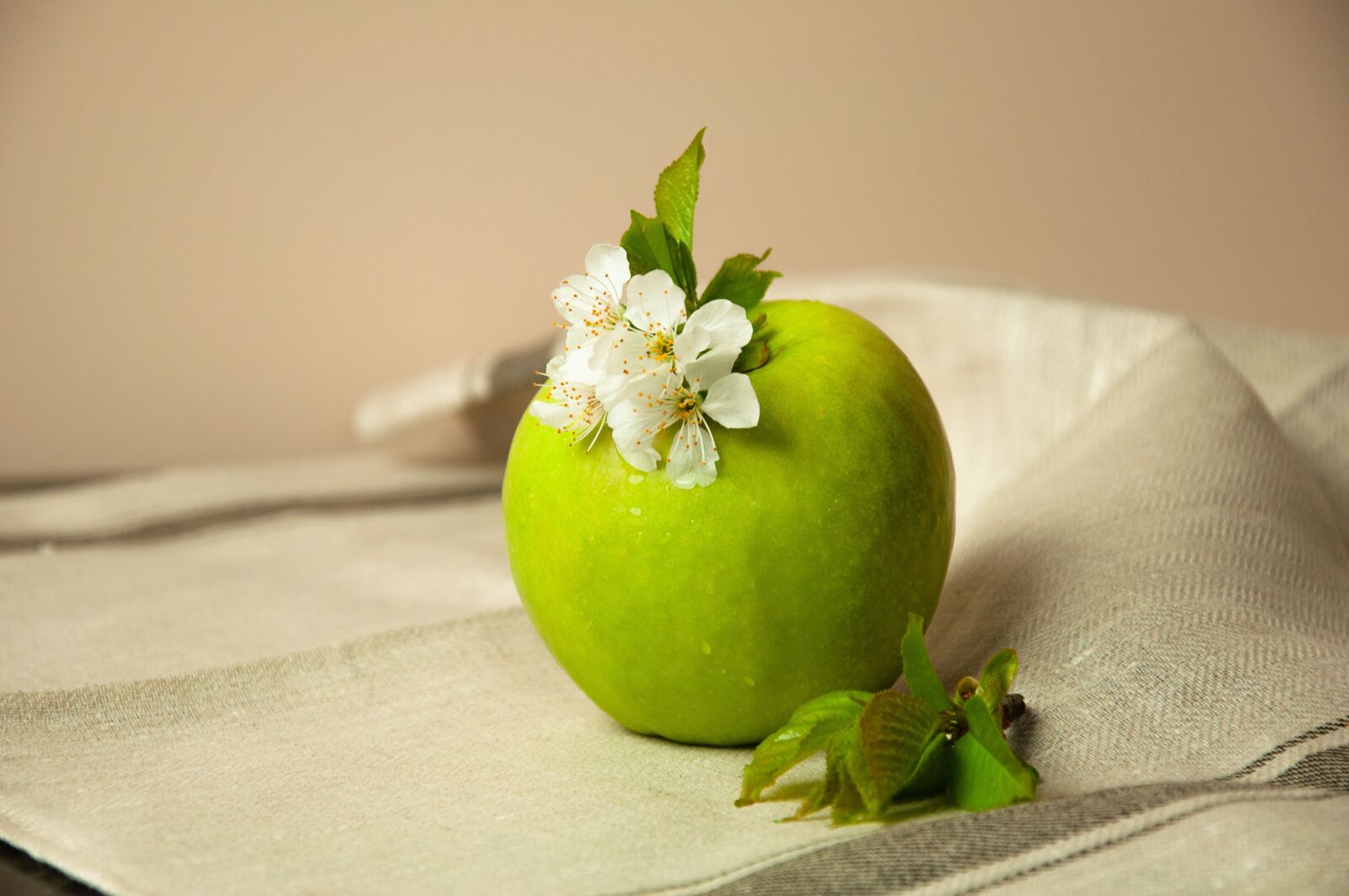 Nikon D90 sample photo. Apple, green apple, spring photography