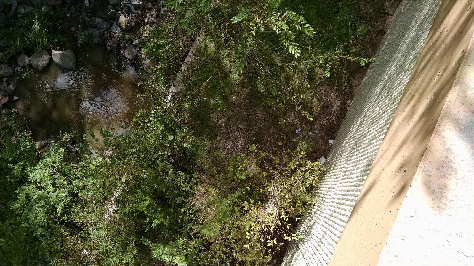 Motorola XT1080 sample photo