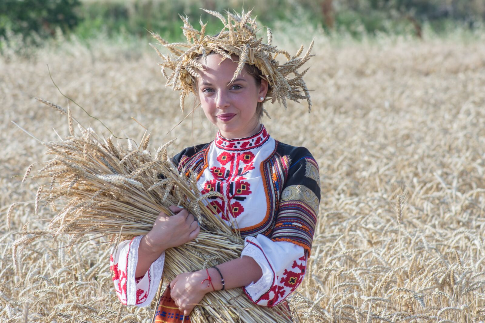 Nikon D7200 sample photo. Harvest, summer, nature photography