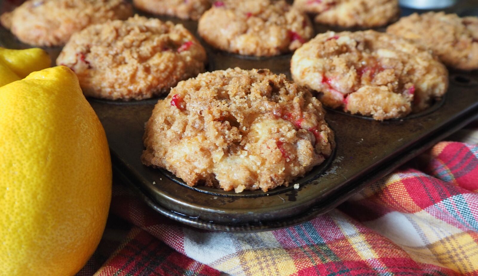 Olympus OM-D E-M10 sample photo. Cranberry muffins, muffin, cranberry photography