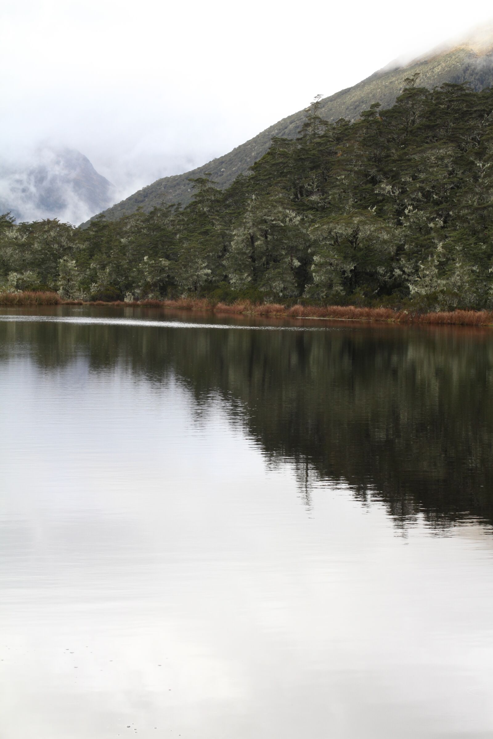 Canon EOS 7D sample photo. Lake, new zealand, reflection photography