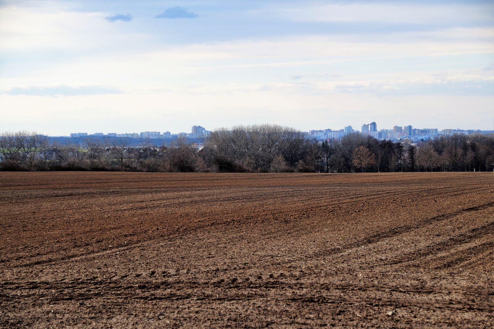 Sony SLT-A58 sample photo. Field, spring, plowed photography