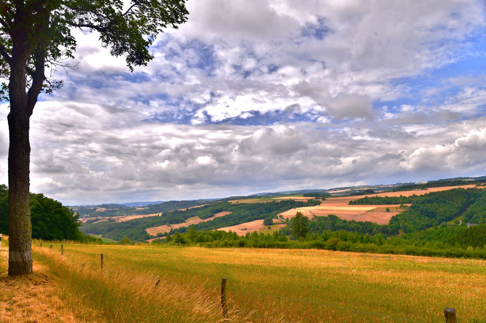 Nikon D600 sample photo. Vista, view, landscape photography