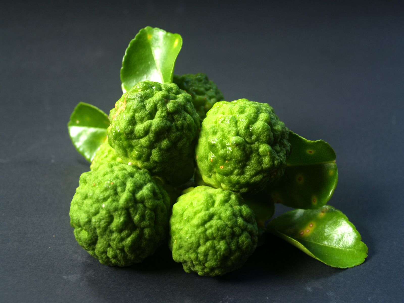 Olympus E-300 (EVOLT E-300) sample photo. Bergamot, fruit, leaf photography
