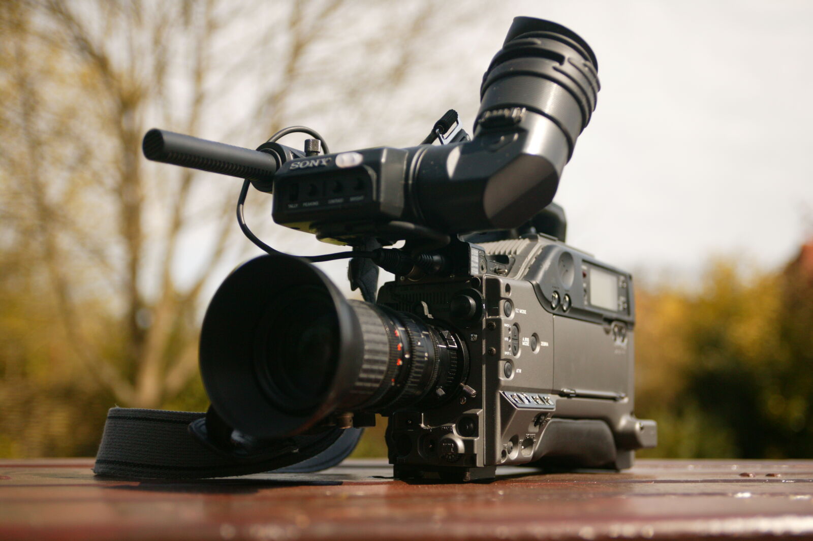 Canon EOS-1Ds sample photo. Television, camera, broadcast, camera photography