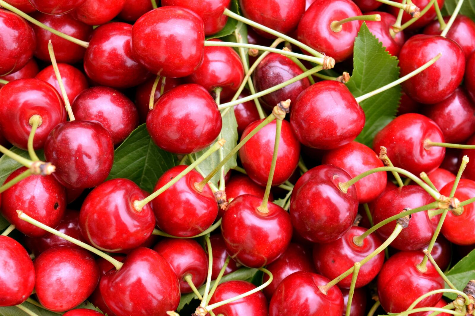 Nikon D3300 sample photo. Leaf, delicious, cherry, food photography