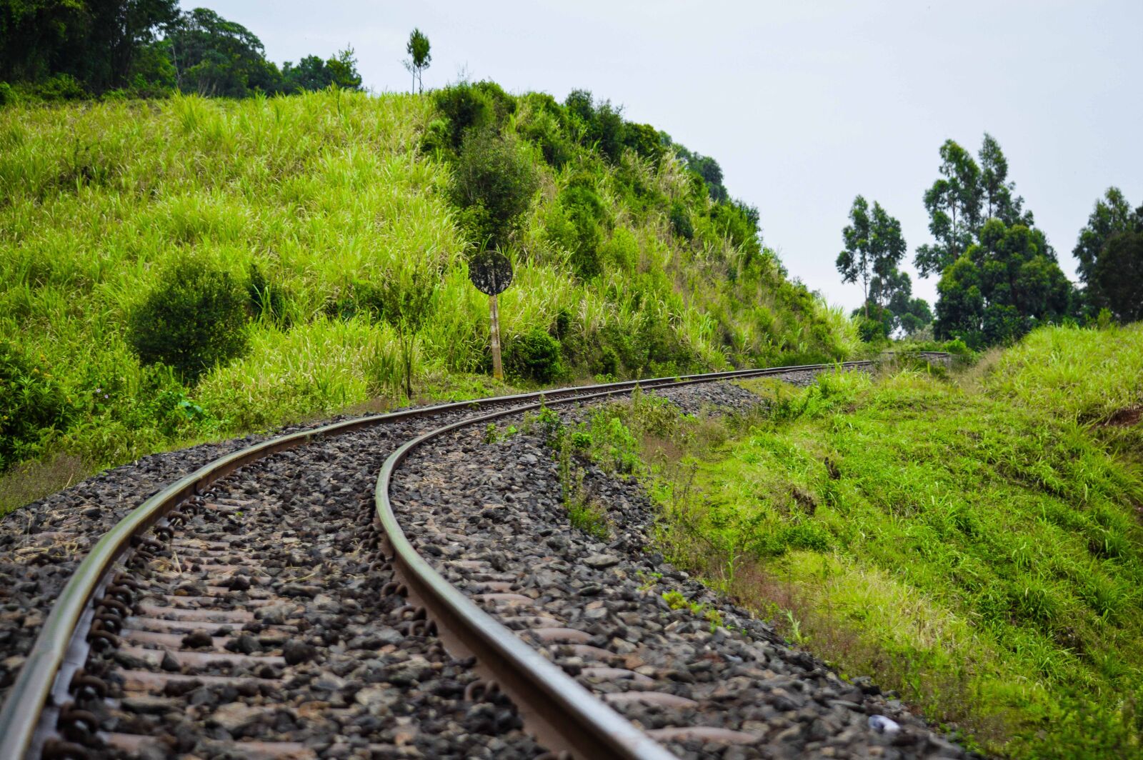 Nikon D3200 sample photo. Landscape, photography, railway photography