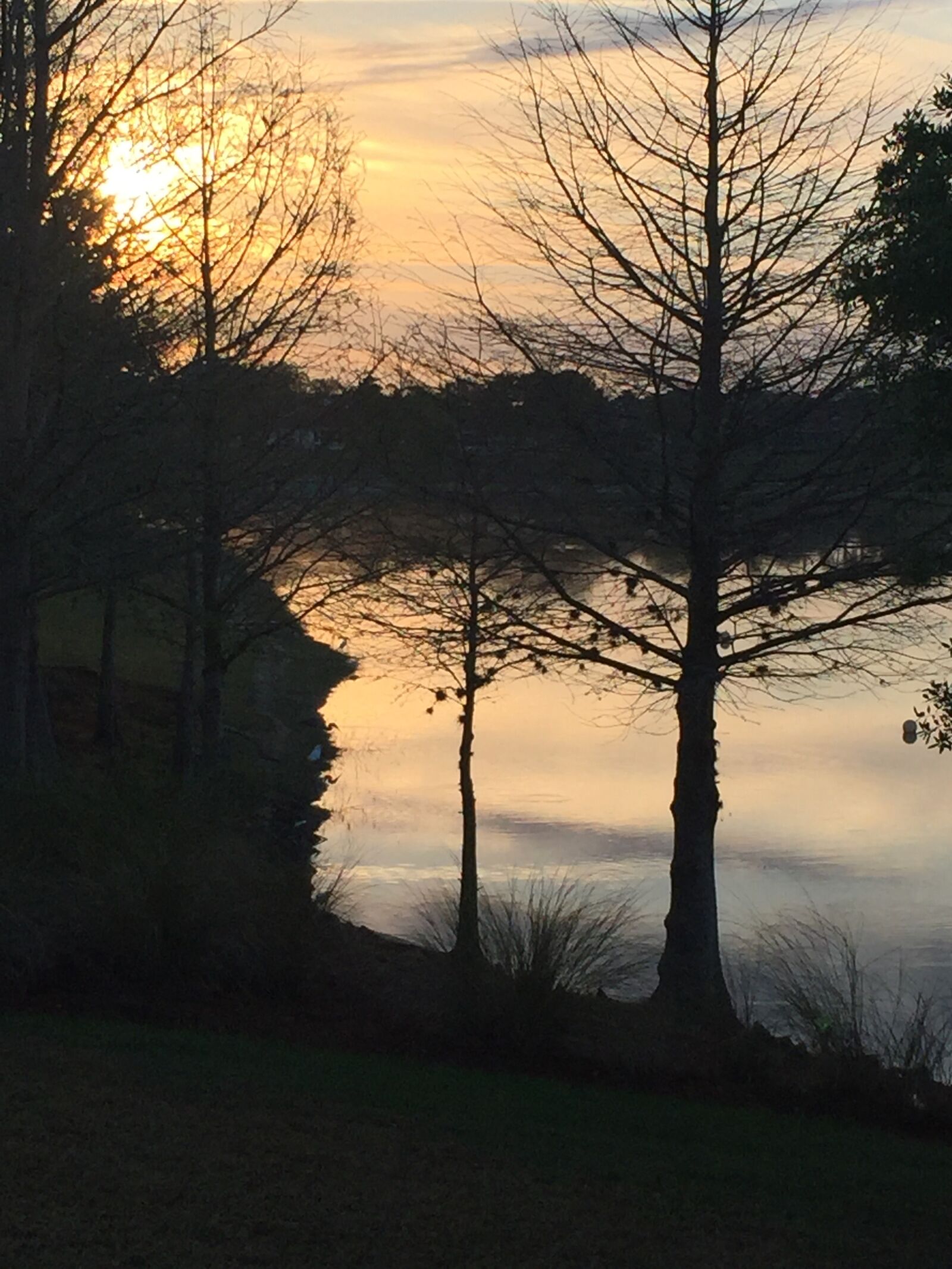 iPhone 6 back camera 4.15mm f/2.2 sample photo. Sunrise, mist, pond photography
